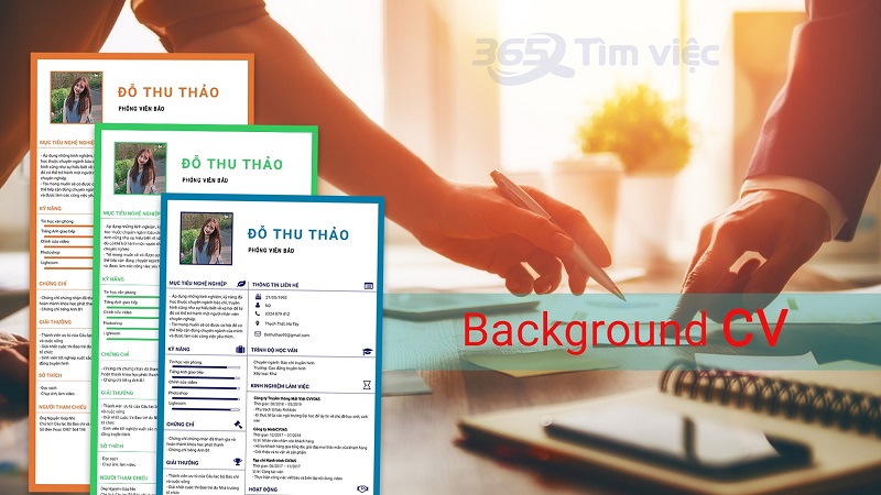 Cấu trúc bản cv chuẩn