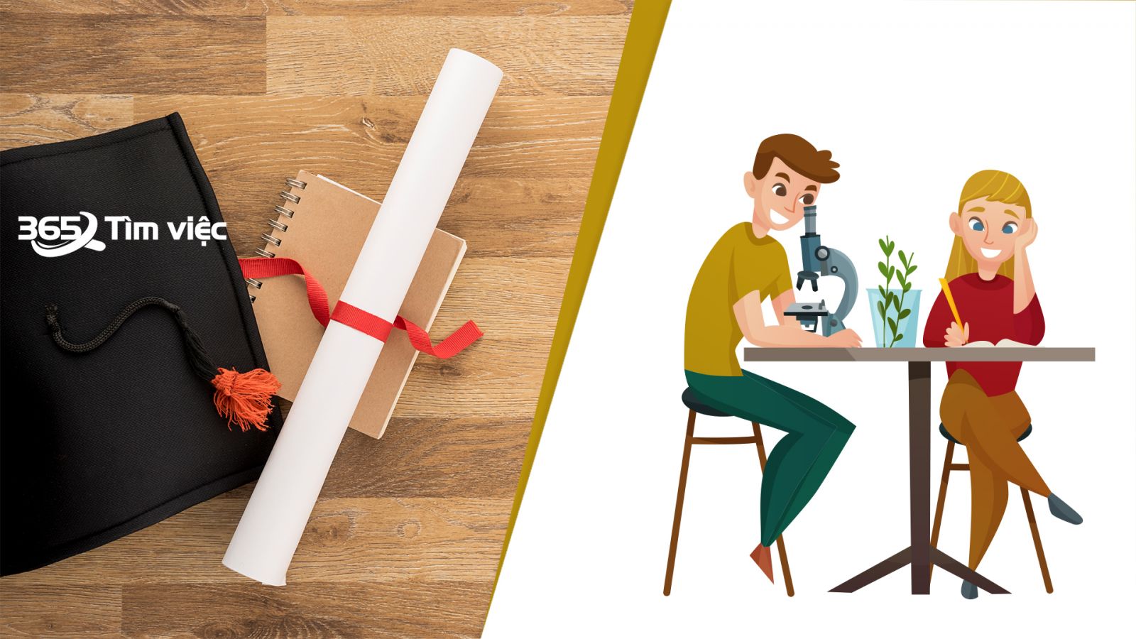 sự khác biệt của đơn xin việc cho sinh viên mới ra trường