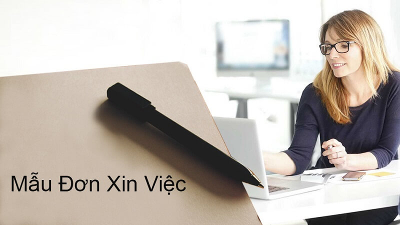 đơn xin việc tư vấn là gì 