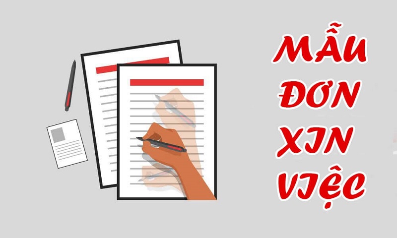 Bản chất của đơn xin việc ngành kinh doanh là gì?