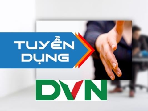 công ty TNHH dvn việt nam