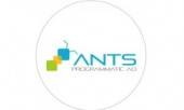                                                  ants programmatic                                             