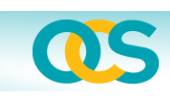                                                  ocs ifs ltd.                                             