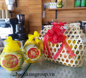 Công Ty Tnhh Tổng Hợp Bạch Kim