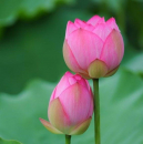 phòng khám thẩm mỹ