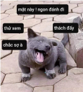 công ty kim cương