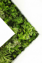Green Design Jsc