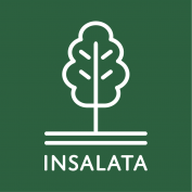 Insalata Vietnam