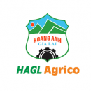 CÔNG TY CỔ PHẦN BAPI HOÀNG ANH GIA LAI.