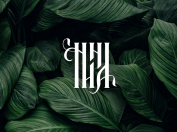 Công Ty TNHH MTV 2N