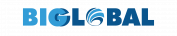 Công Ty Cổ Phần Big Global