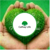Công Ty Bảo Hiểm Cathay Vn