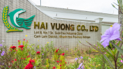 Tuyển dụng nhân viên kinh doanh quốc tế tại CTy TNHH Hải Vương – KCN Suối Dầu, Cam Lâm