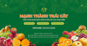 Mạnh Thành Trái Cây