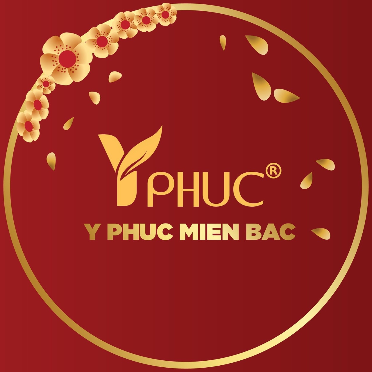 Công Ty TNHH Y Phúc Miền Bắc