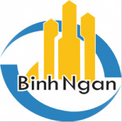 công ty cổ phần xuất nhập khẩu và xây dựng bình ngân