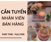 DNTN - Hộ Chiếu, Visa