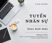 Công Ty TNHH Xuất Nhập Khẩu Ehair Vietnam