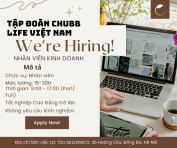 Công Ty Bảo Hiểm Chubbliffe