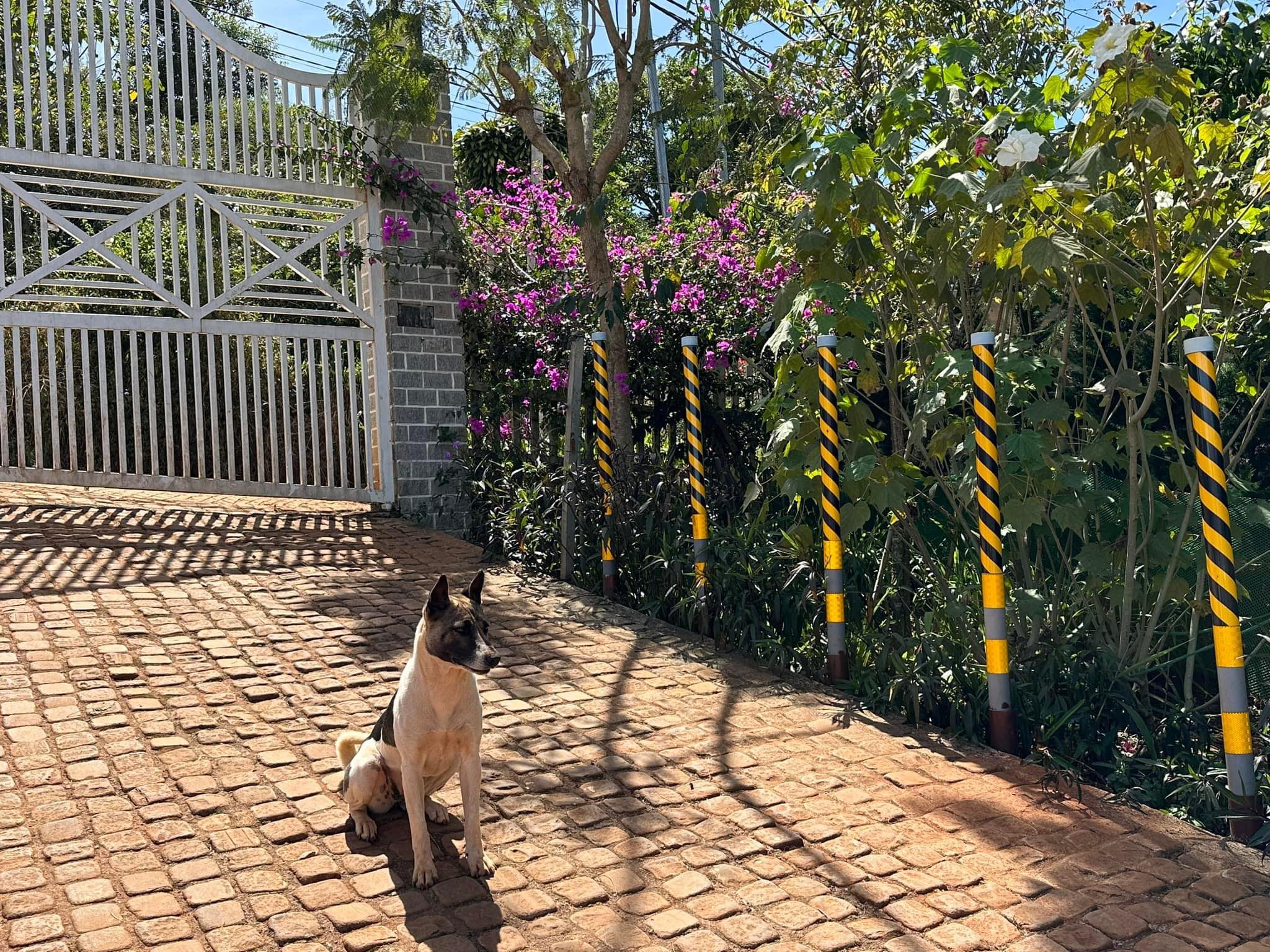Khu Nghỉ Dưỡng Vỏ Đỗ Garden