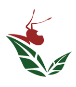 Công Ty TNHH Kiến Vương