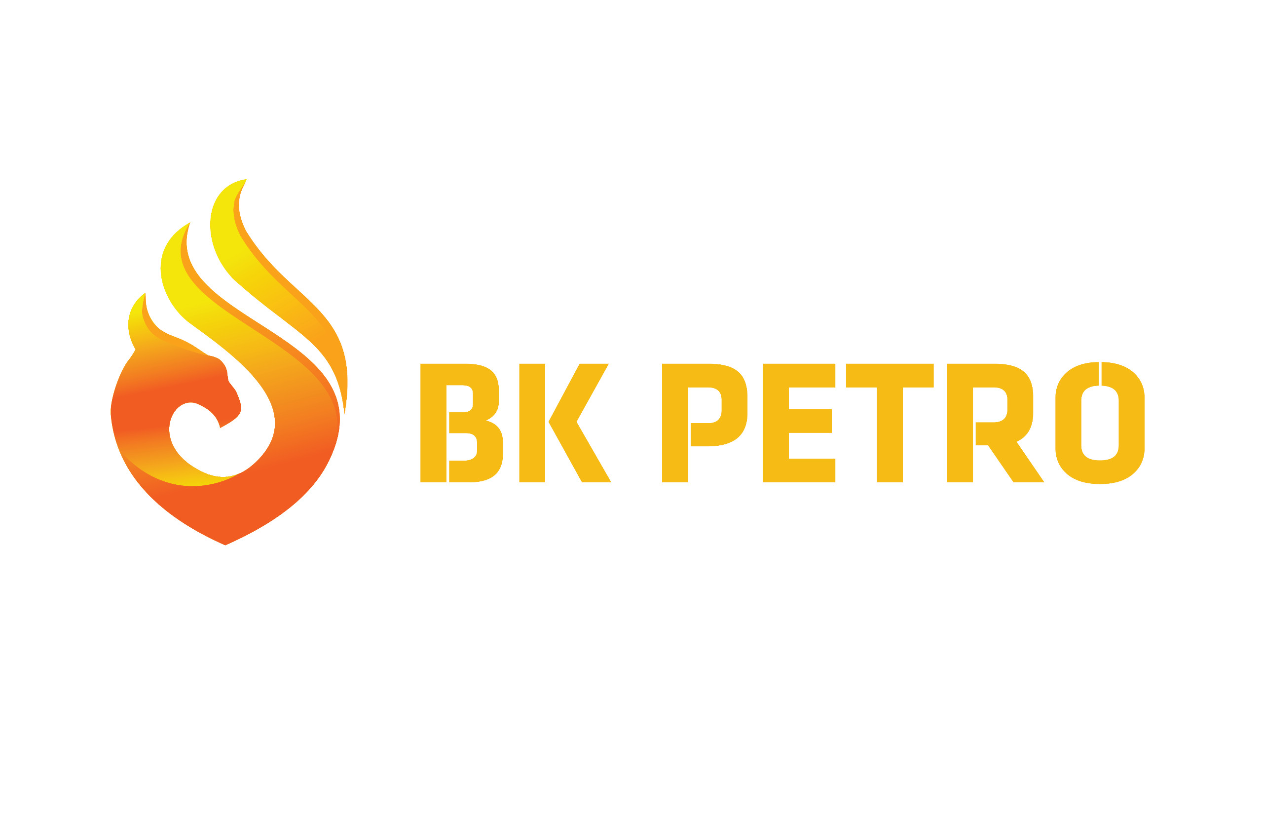CÔNG TY CỔ PHẦN BK ENERGY