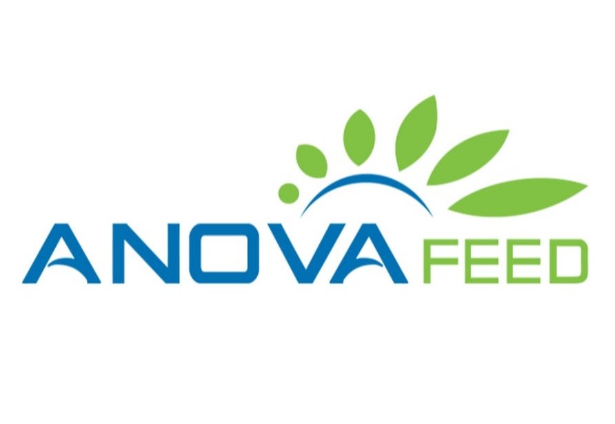 CÔNG TY CỔ PHẦN ANOVA FEED