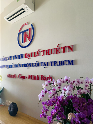 Công ty TNHH Đại Lý Thuế TN