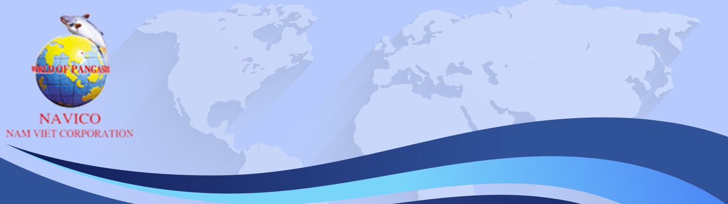 banner công ty