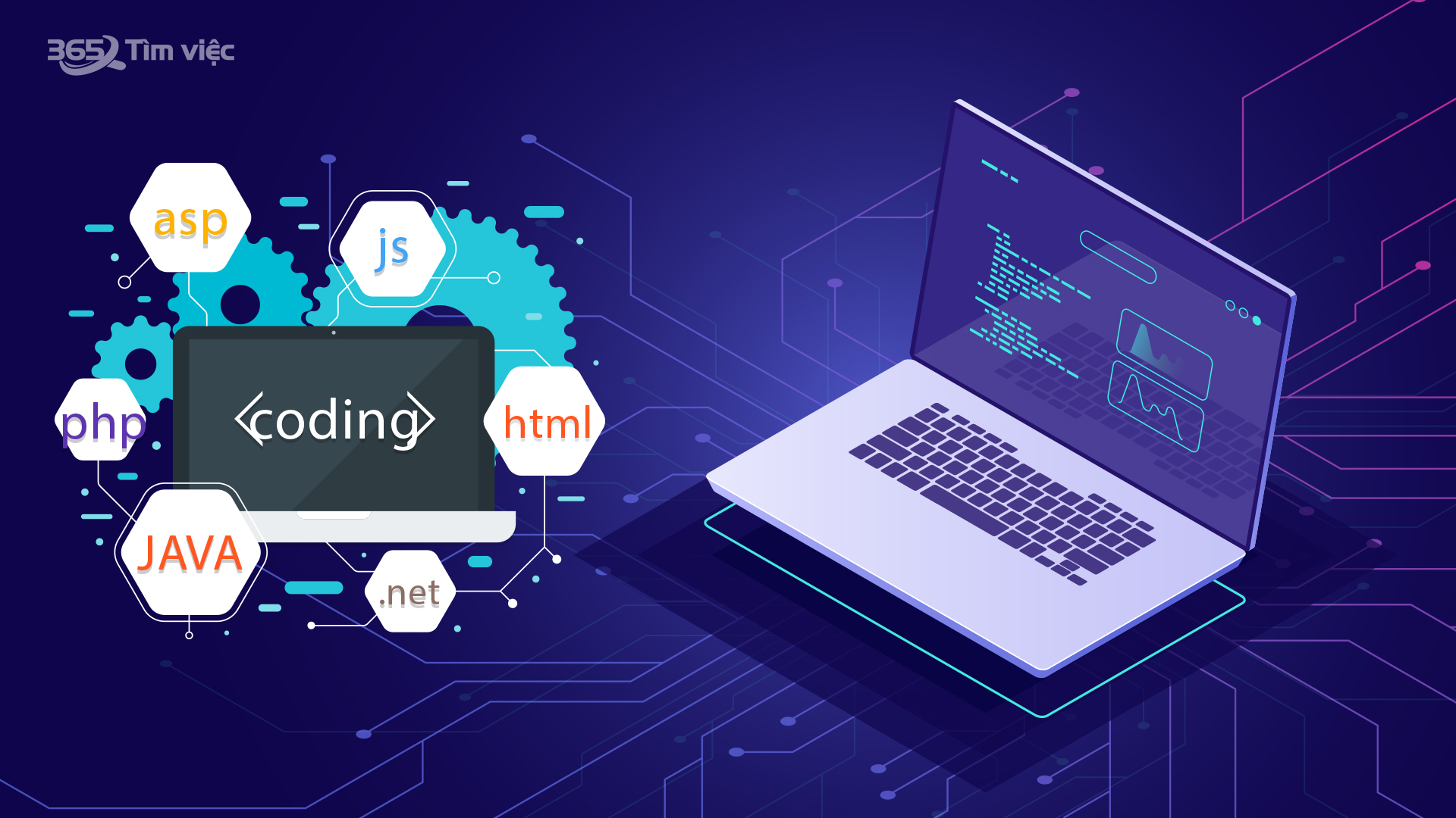  Kiến thức và trình độ chuyên môn