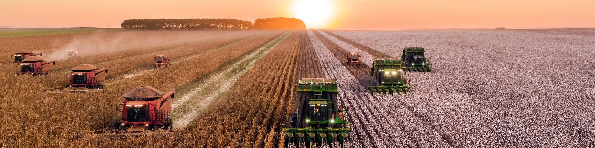 Định hướng nghề nghiệp với ngành Kinh tế nông nghiệp là gì