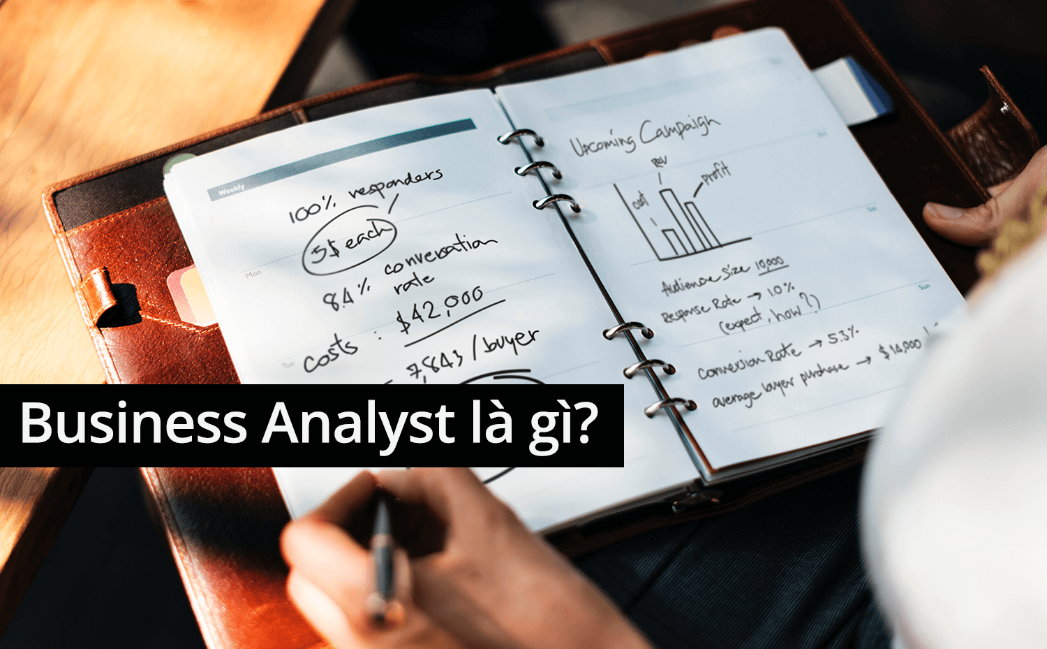 Business Analyst là gì