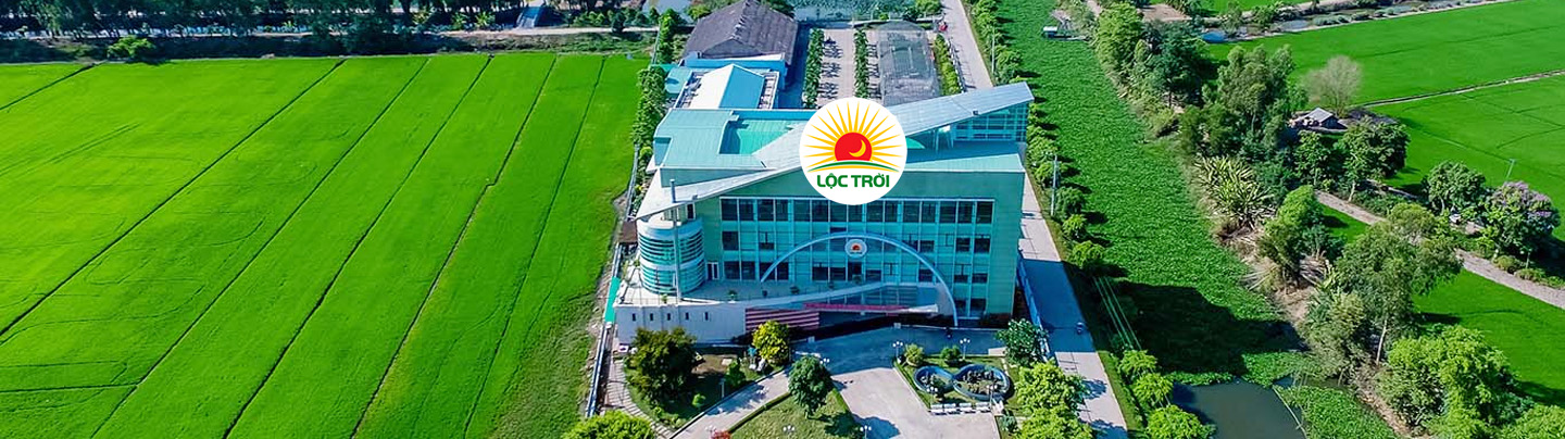 Khái quát tình hình hoạt động của Tập đoàn Lộc Trời