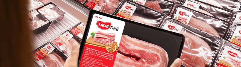 Khái quát chung về tình hình hoạt động của công ty
