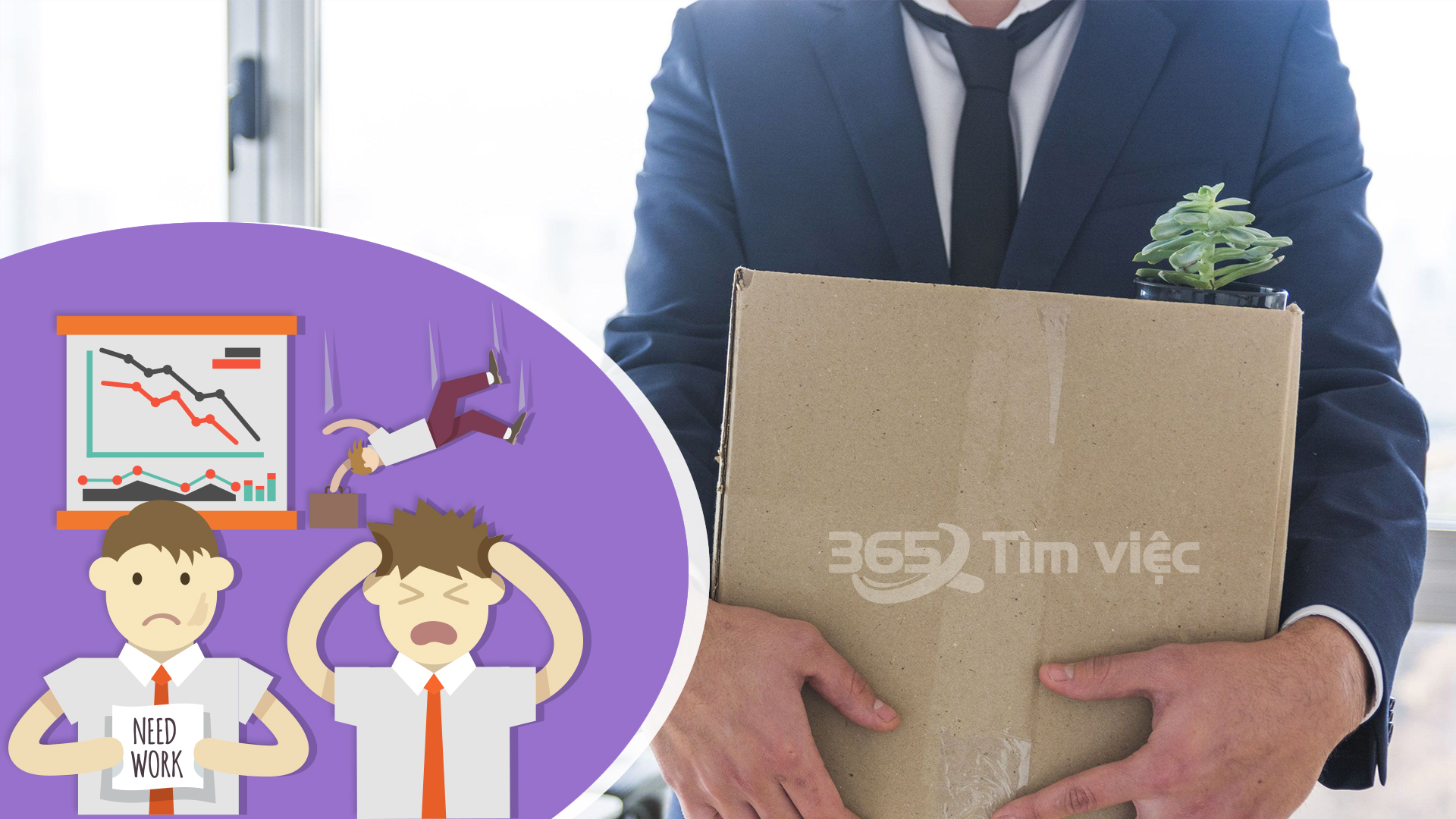 Cách tìm việc làm hiệu quả tại NAKISCO ở đâu?