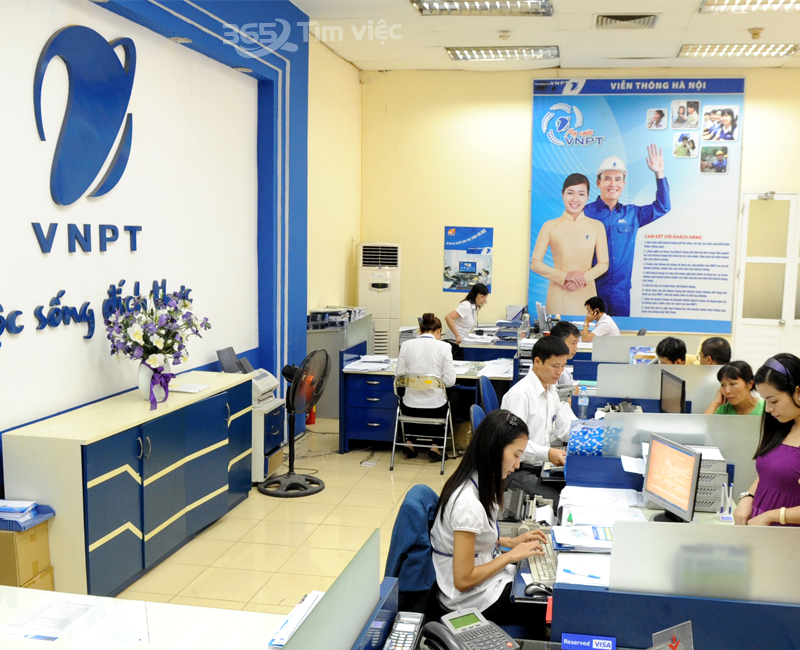 Đặc điểm việc làm tại Tổng Công ty Dịch vụ Viễn thông (VNPT-Vinaphone)