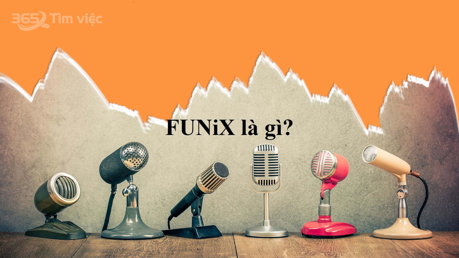 FUNiX là gì?