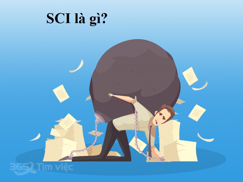 SCI là gì? SCI - Spinal Cord Injury- Chấn thương tủy sống
