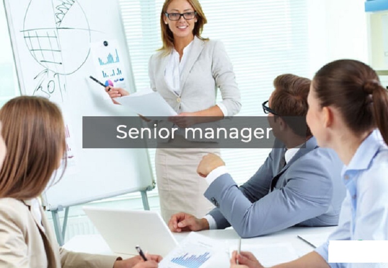 Khái niệm Senior Manager là gì?