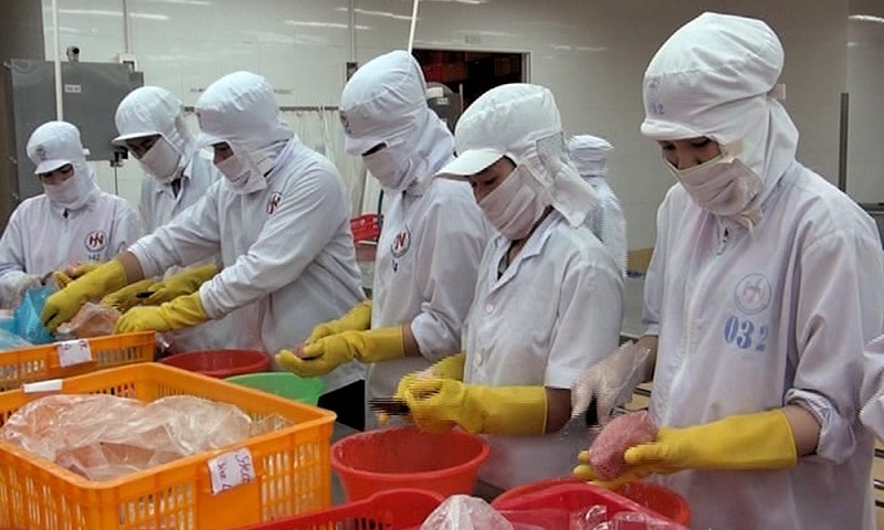 Việc làm lương cao tại Phú Yên - công nhân