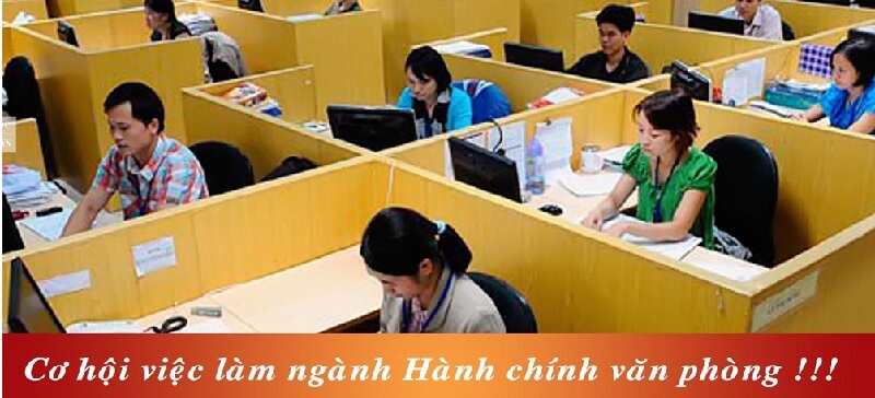 Cơ hội việc làm của hành chính - văn phòng tại Bình Định