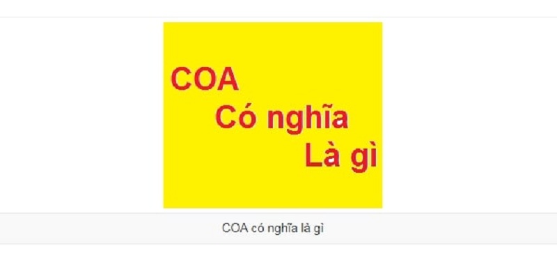 Định nghĩa cơ bản về COA là gì?