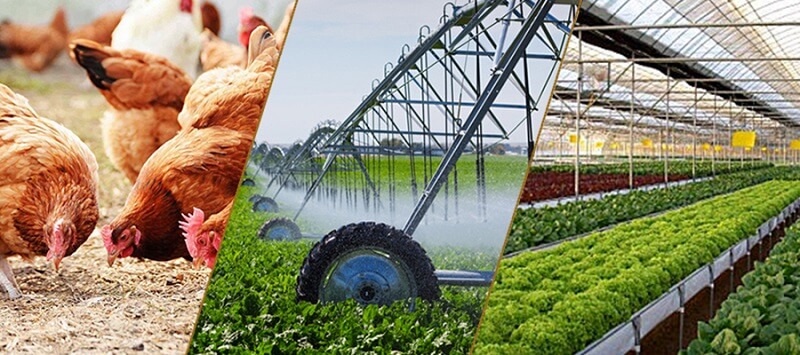 sản phẩm sản xuất nông nghiệp là gì 