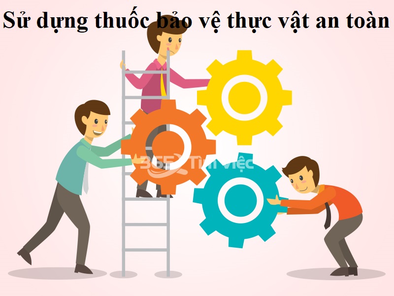 Để đảm bảo an toàn khi sử dụng thuốc bảo vệ thực vật là gì và như thế nào?