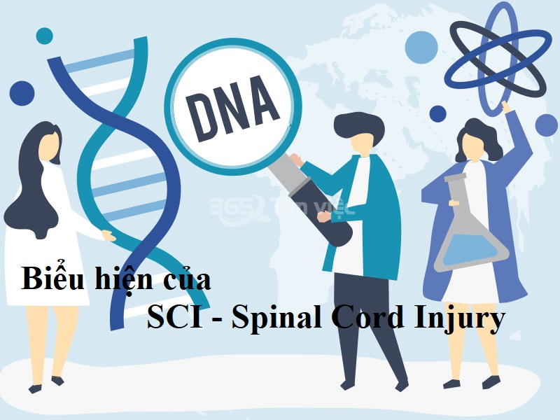 Các dấu hiệu bạn đang mắc SCI là gì? SCI - Spinal Cord Injury - chấn thương tủy sống