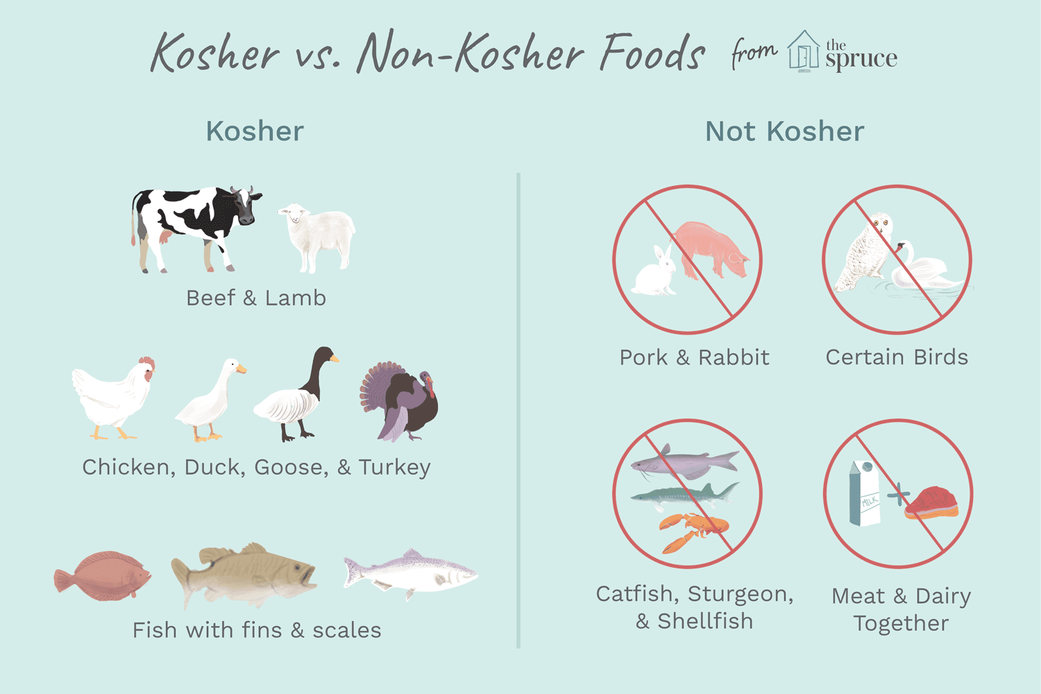 Quy định về thực phẩm Kosher là gì