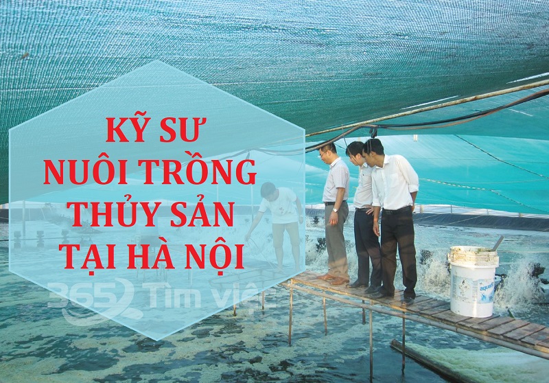Kỹ sư nuôi trồng thủy sản tại Hà Nội