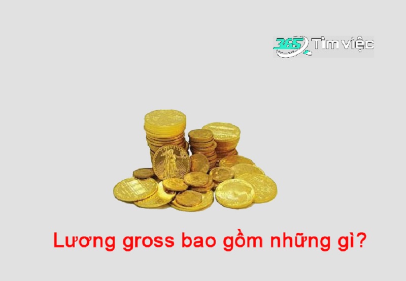Lương gross bao gồm những gì
