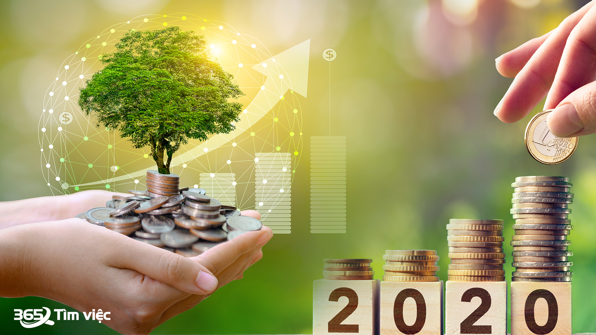 Nhu cầu tuyển dụng của Ngân hàng hợp tác xã