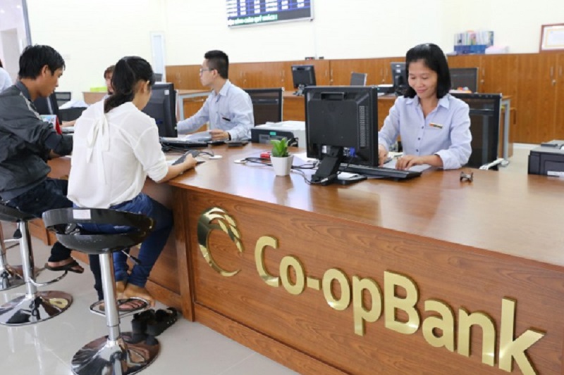 Đặc điểm nguồn nhân lực tại Co-opBank